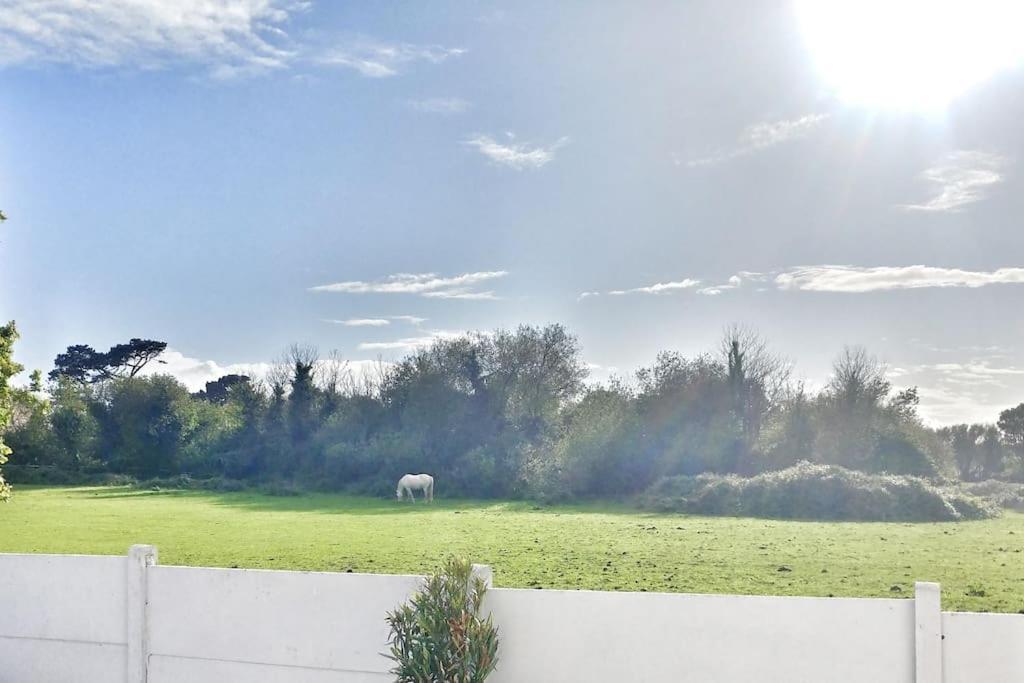 Ferienhaus Maison 3* Sur La Cote De Granit Rose